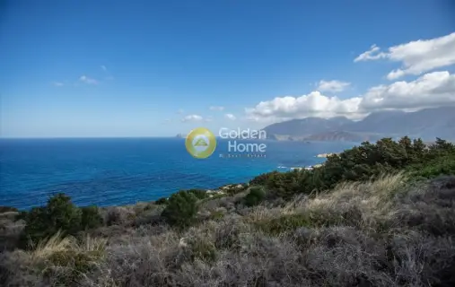 Αγροτεμάχιο 9399τ.μ. προς πώληση φωτογραφία 15