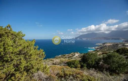 Αγροτεμάχιο 9399τ.μ. προς πώληση φωτογραφία 17