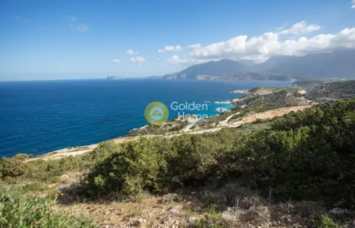 Αγροτεμάχιο 9399τ.μ. προς πώληση φωτογραφία 19