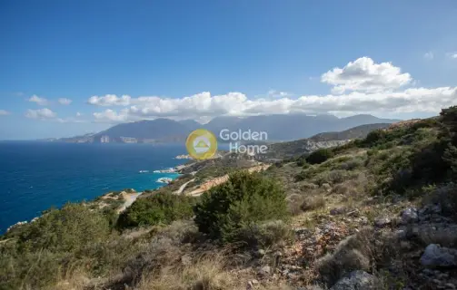 Αγροτεμάχιο 9399τ.μ. προς πώληση φωτογραφία 21