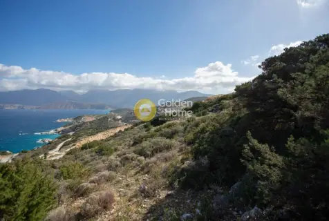 Αγροτεμάχιο 9399τ.μ. προς πώληση φωτογραφία 22
