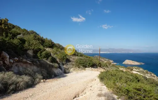 Αγροτεμάχιο 9399τ.μ. προς πώληση φωτογραφία 24