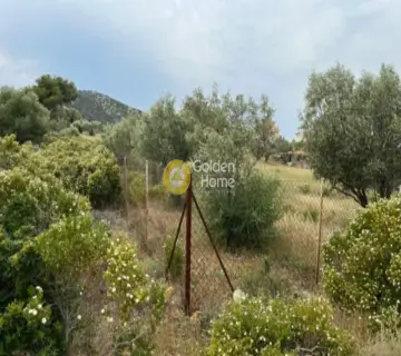Parcel 5607m<sup>2</sup> for sale photo 4322594