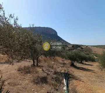 Professional Plot 22000m<sup>2</sup> for sale photo 3