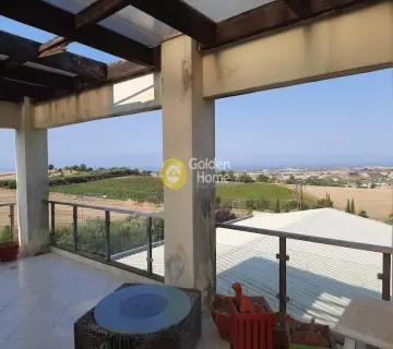 House 800m<sup>2</sup> for sale photo 5