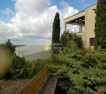 House 800m<sup>2</sup> for sale photo 3