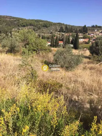 Residential 3323m<sup>2</sup> for sale photo 3863608