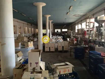 Industrial 1000m<sup>2</sup> for sale photo 6