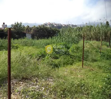 Residential 825m<sup>2</sup> for sale photo 3882001