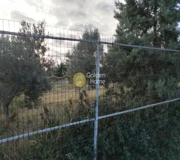 Parcel 4124m<sup>2</sup> for sale photo 3867397