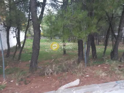 Οικιστικό 800τ.μ. προς πώληση φωτογραφία 2