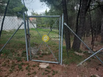 Οικιστικό 800τ.μ. προς πώληση φωτογραφία 1