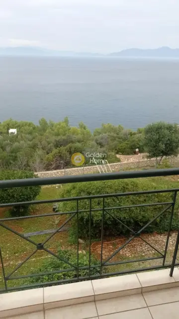 Μονοκατοικία 265τ.μ. προς πώληση φωτογραφία 2