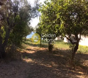 Residential 1200m<sup>2</sup> for sale photo 4399690