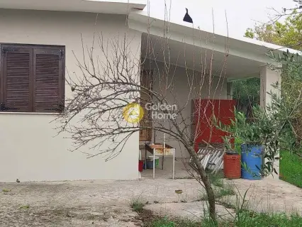 Αγροτεμάχιο 5000τ.μ. προς πώληση φωτογραφία 1