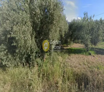 Residential 8000m<sup>2</sup> for sale photo 3904596