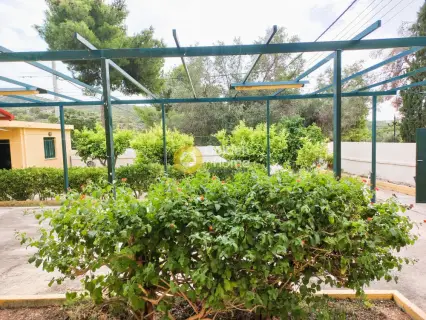 Residence complex 222m<sup>2</sup> for sale photo 5259334