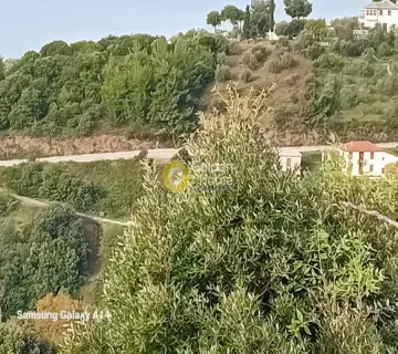 Residential 1800m<sup>2</sup> for sale photo 3897282