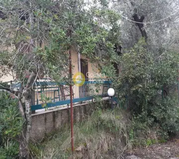 Residential 1500m<sup>2</sup> for sale photo 4