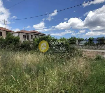 Οικιστικό 1005τ.μ. προς πώληση φωτογραφία 3889881