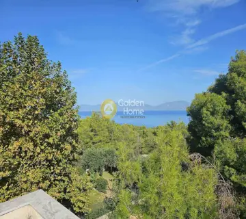 Μονοκατοικία 302τ.μ. προς πώληση φωτογραφία 1