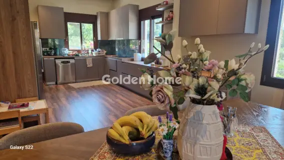 房子 330m<sup>2</sup> for sale photo 7