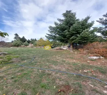 Residential 4144m<sup>2</sup> for sale photo 23