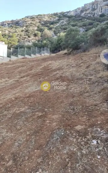 Οικιστικό 1130τ.μ. προς πώληση φωτογραφία 2