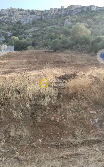Οικιστικό 1130τ.μ. προς πώληση φωτογραφία 5