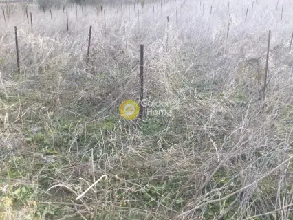 Parcel 4100m<sup>2</sup> for sale photo 4