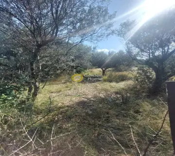 住宅 1770m<sup>2</sup> for sale photo 3