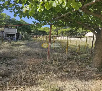 Οικιστικό 1005τ.μ. προς πώληση φωτογραφία 2