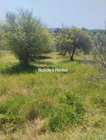 Οικιστικό 700τ.μ. προς πώληση φωτογραφία 5378575