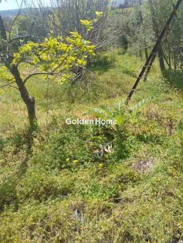 Οικιστικό 700τ.μ. προς πώληση φωτογραφία 5378576