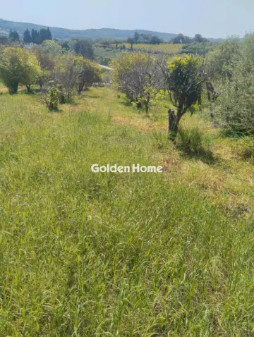 Οικιστικό 700τ.μ. προς πώληση φωτογραφία 5378578