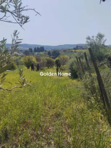 Οικιστικό 700τ.μ. προς πώληση φωτογραφία 5378579