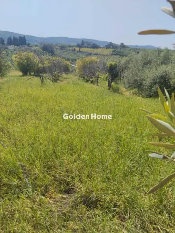 Οικιστικό 700τ.μ. προς πώληση φωτογραφία 5378580