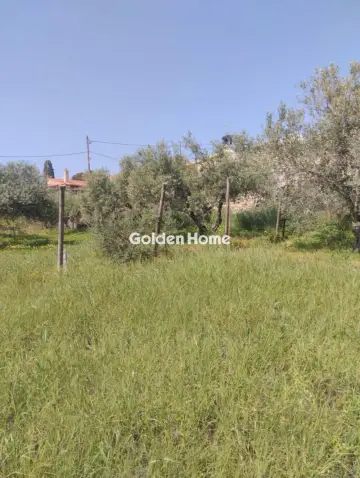 Οικιστικό 700τ.μ. προς πώληση φωτογραφία 5378581