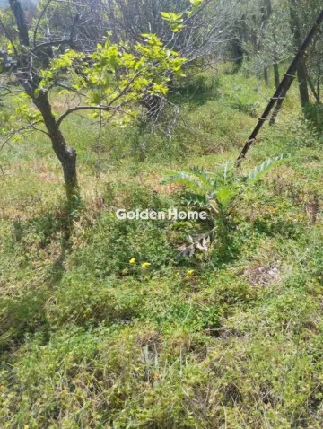 Οικιστικό 700τ.μ. προς πώληση φωτογραφία 5378582