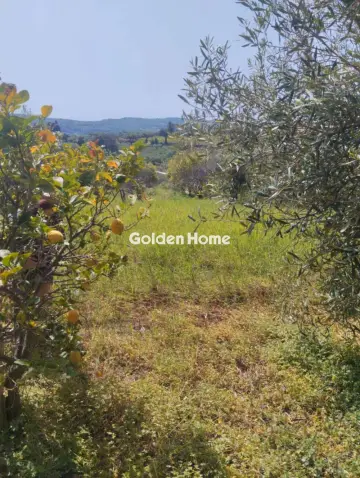 Οικιστικό 700τ.μ. προς πώληση φωτογραφία 5378584