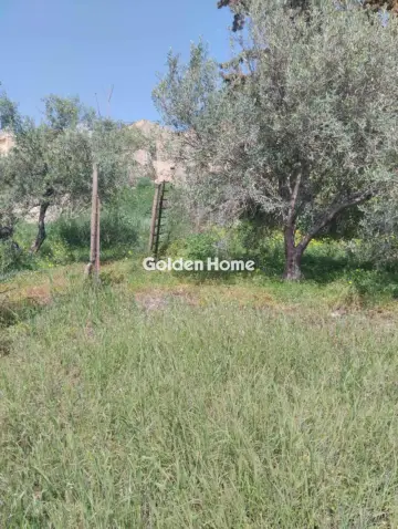 Οικιστικό 700τ.μ. προς πώληση φωτογραφία 5378585