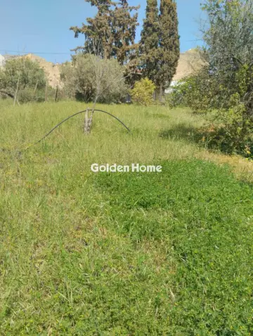 Οικιστικό 700τ.μ. προς πώληση φωτογραφία 5378587