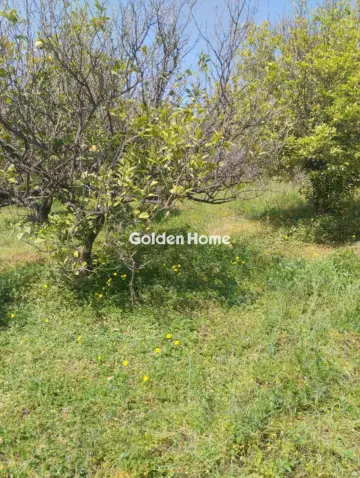 Οικιστικό 700τ.μ. προς πώληση φωτογραφία 5378589