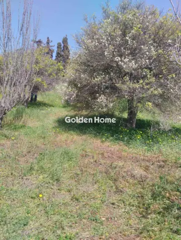 Οικιστικό 700τ.μ. προς πώληση φωτογραφία 5378591