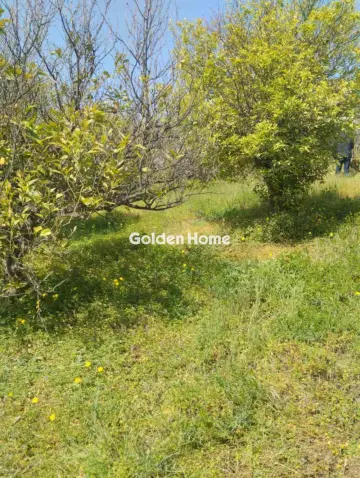 Οικιστικό 700τ.μ. προς πώληση φωτογραφία 5378592