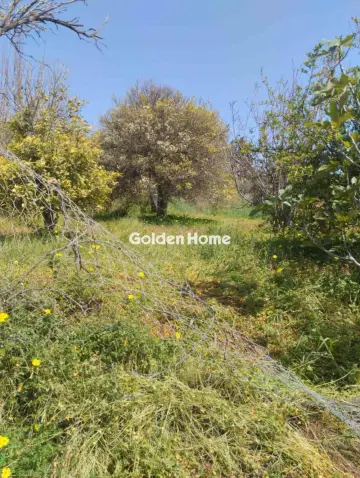 Οικιστικό 700τ.μ. προς πώληση φωτογραφία 5378593