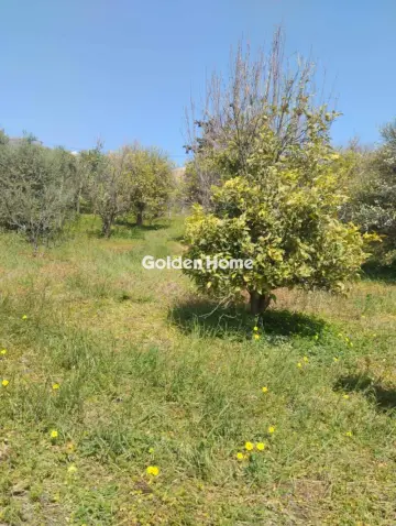 Οικιστικό 700τ.μ. προς πώληση φωτογραφία 5378594