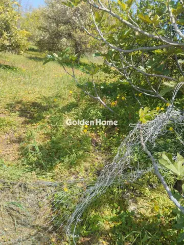 Οικιστικό 700τ.μ. προς πώληση φωτογραφία 5378595