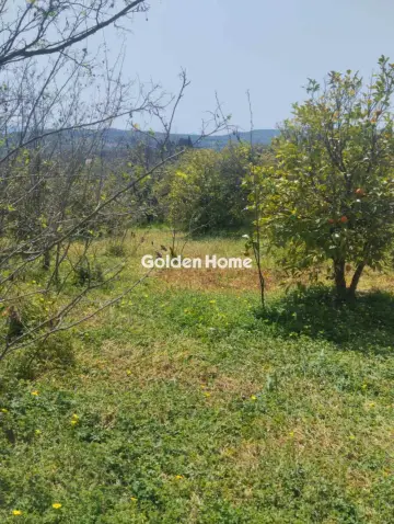 Οικιστικό 700τ.μ. προς πώληση φωτογραφία 5378596