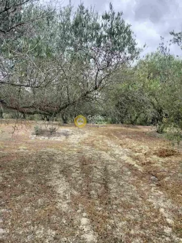 Residential 1700m<sup>2</sup> for sale photo 3925183